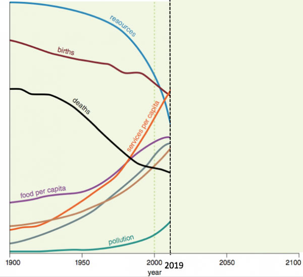 1900-2019.jpg
