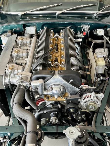 2304 Corneliu Jaguar - 1 sur 1 (6).jpeg
