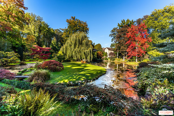801019-le-jardin-japonais-du-chateau-de-courances.jpg