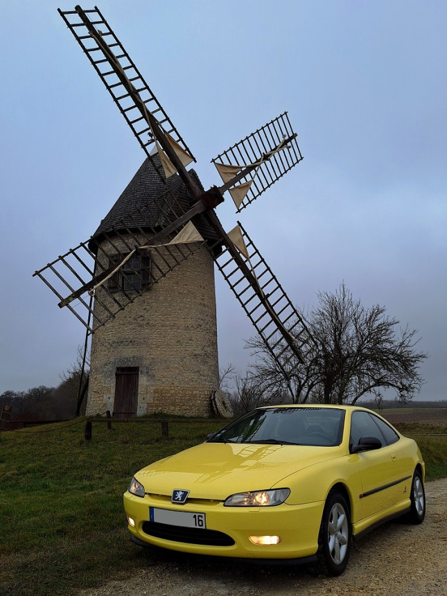 20250119_113032 v.jpg