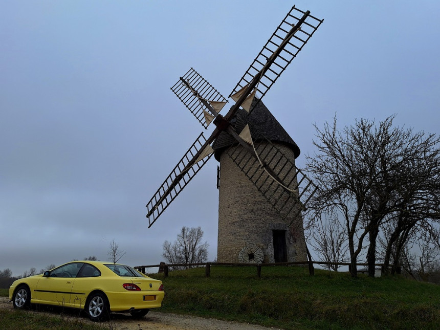 20250119_112808 v.jpg