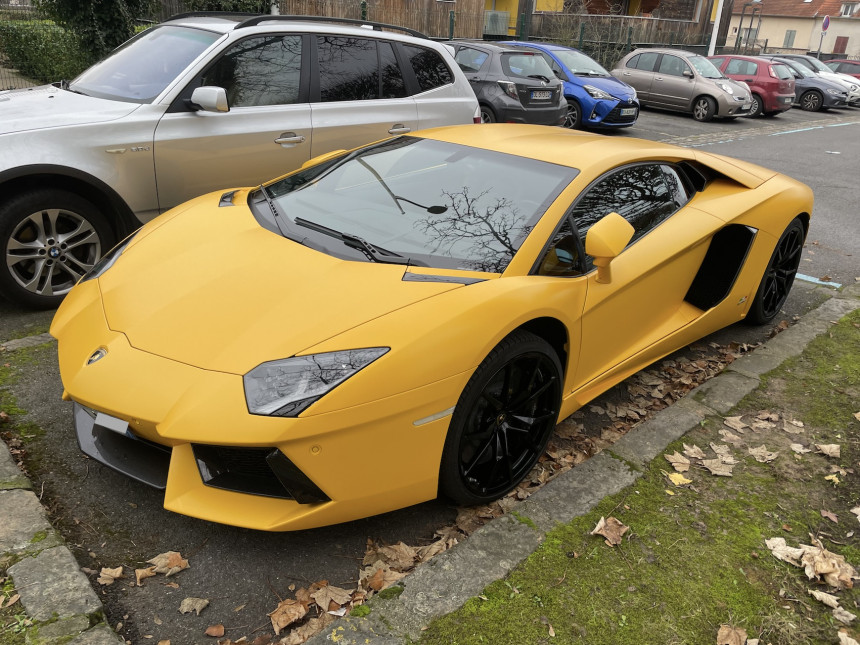 IMG_8993 - sspl.jpeg