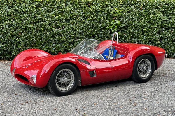 1961_maserati_tipo-61-birdcage_img_1528-7-88713.jpg