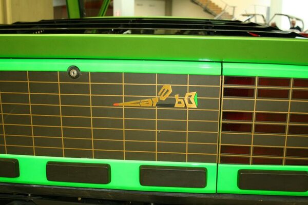 carabo02.JPG