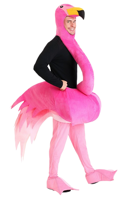 Costume_Flamant_Rose_Homme-removebg-preview_480x480.png