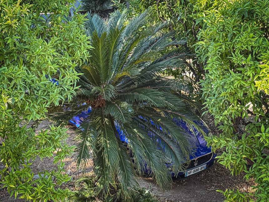 IMG_6858.jpg