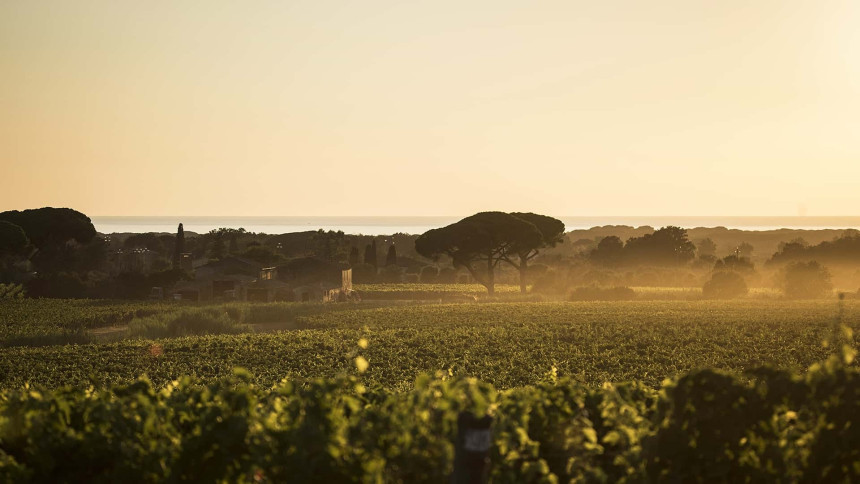 il-bruciato-la-tenuta.jpg