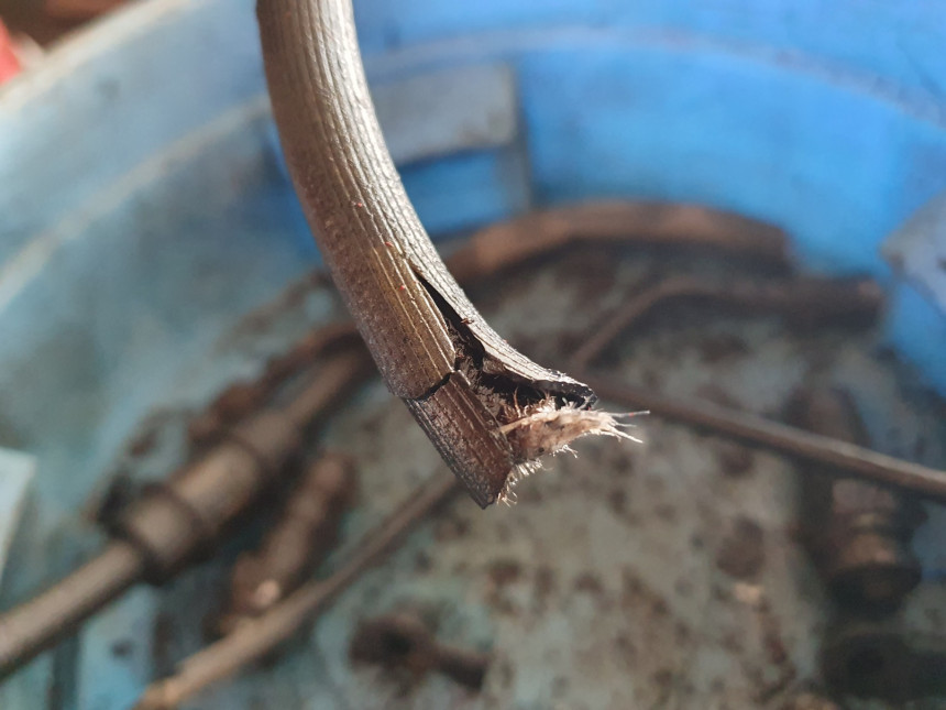 20260317_164901 (1).jpg