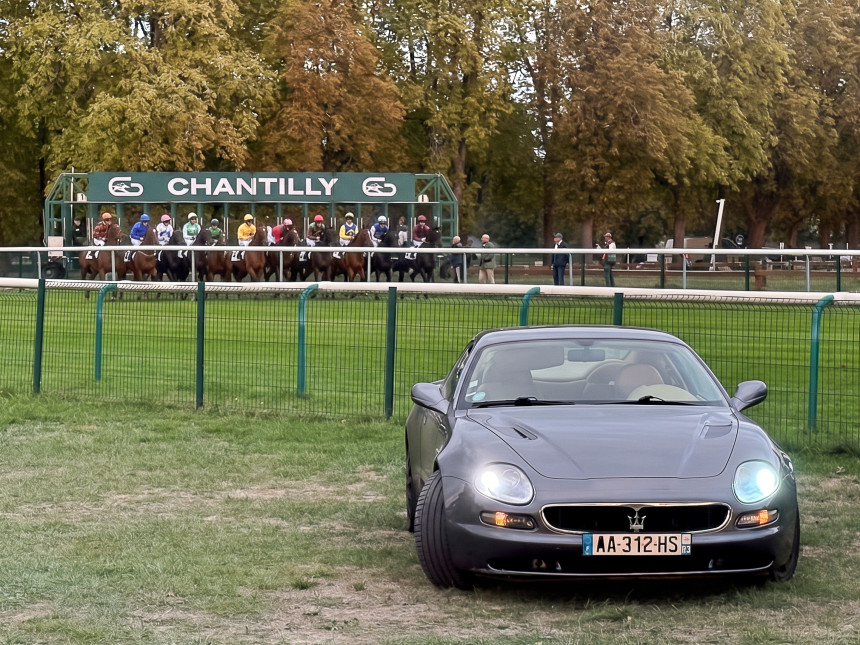 Chevaux de courses.jpg