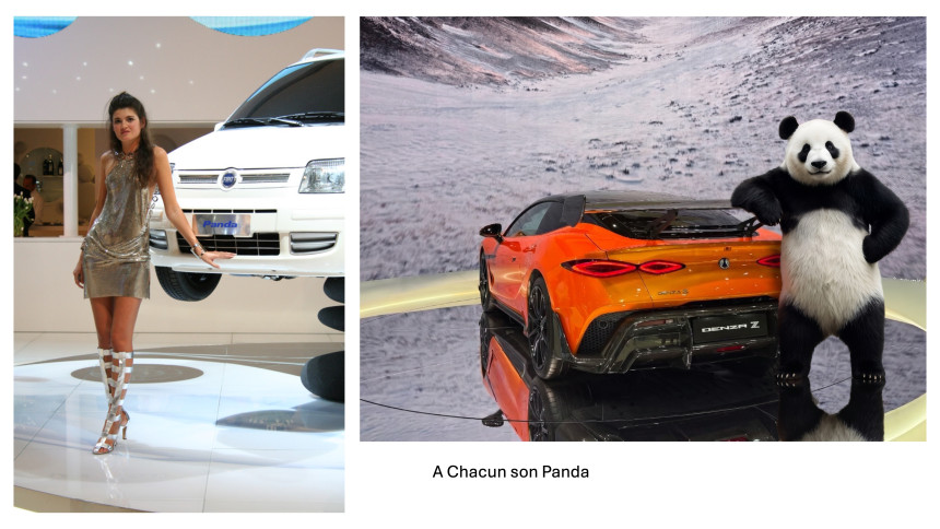 Panda.jpg