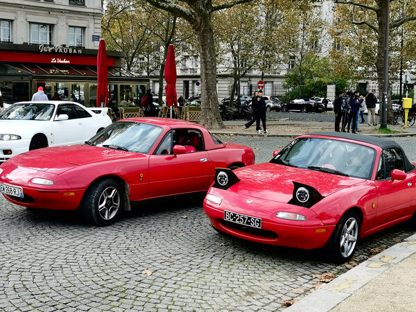 Imports - 1 sur 1 (1).jpeg