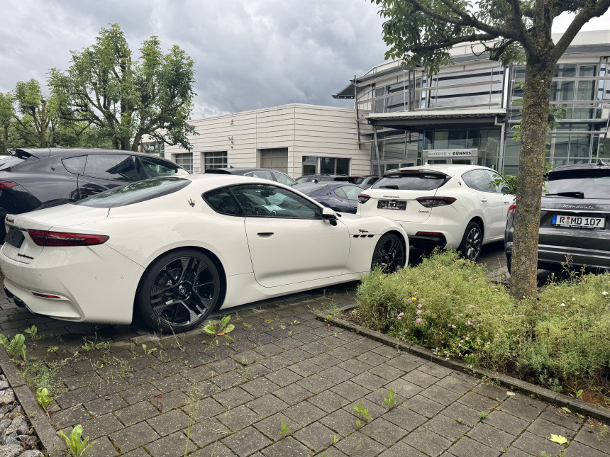 IMG_6501.jpeg