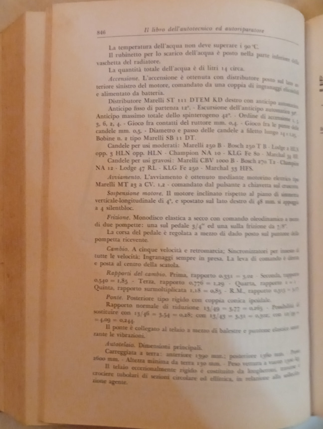Buffoni VII.jpg