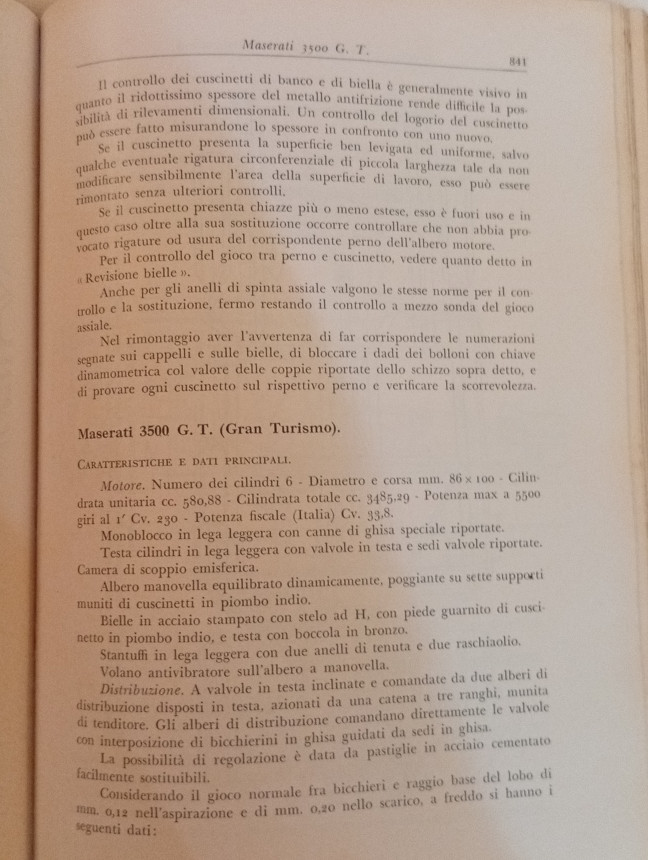 Buffoni II.jpg
